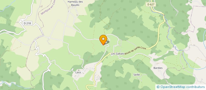localisation de l'entreprise DANSEZ EN COUSERANS à MONTJOIE-EN-COUSERANS
