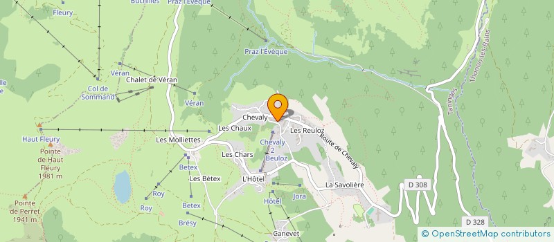 localisation de l'entreprise DAREVE  TANINGES