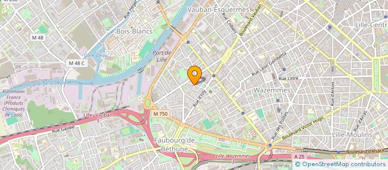 localisation de l'entreprise DARMAMI à LILLE