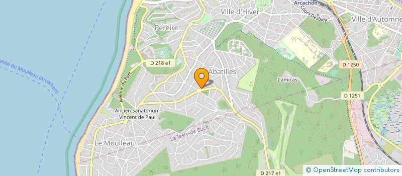 localisation de l'entreprise DARNAUZAN FAMILY  ARCACHON