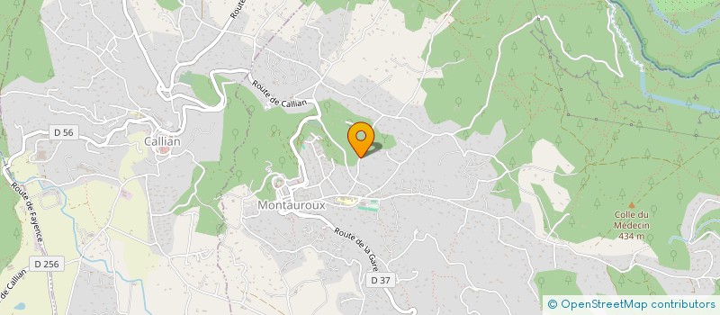 localisation de l'entreprise DATA SYSTEMES à MONTAUROUX