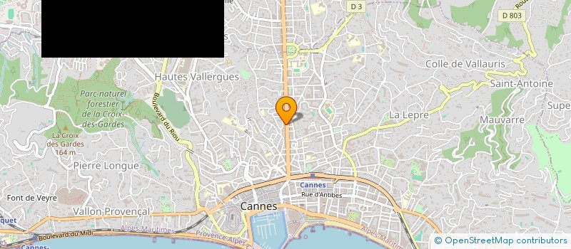 localisation de l'entreprise DAUPHIN SERVICES CANNES  CANNES