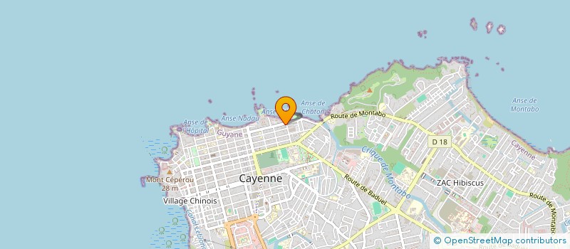 localisation de l'entreprise DAUPHIN TELECOM GUYANE  CAYENNE