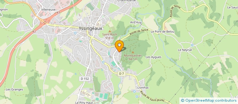localisation de l'entreprise DAUPHINS YSSINGELAIS à YSSINGEAUX