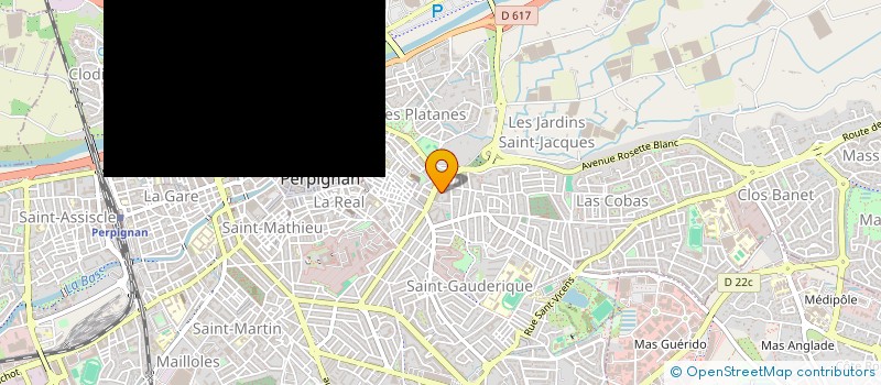 localisation de l'entreprise DAVID  PERPIGNAN