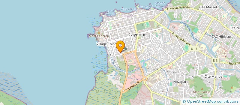 localisation de l'entreprise DAVID BABER SHOP  CAYENNE