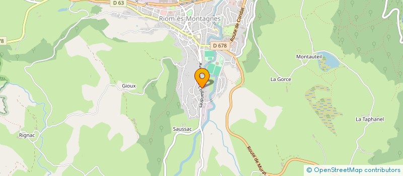 localisation de l'entreprise DAVID DELPEUCH à RIOM-ES-MONTAGNES