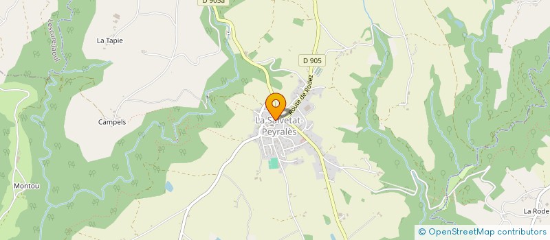 localisation de l'entreprise DAVID DEROY  LA SALVETAT-PEYRALES