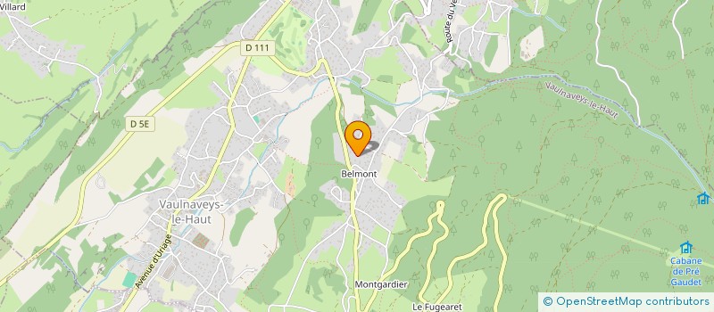 localisation de l'entreprise DAVID DUPUIS SERVICES  VAULNAVEYS-LE-HAUT