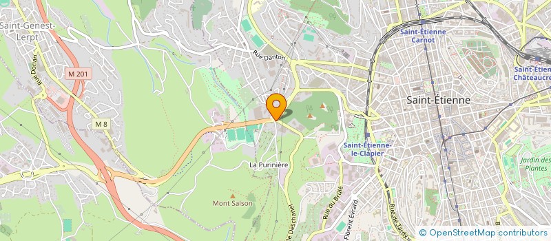 localisation de l'entreprise DAVID INVESTISSEMENTS  SAINT-ETIENNE