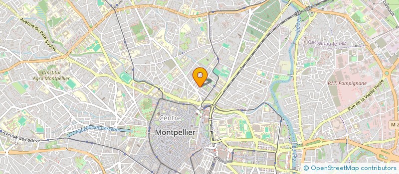 localisation de l'entreprise DAVID LEROY INDIVISION à MONTPELLIER