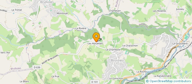 localisation de l'entreprise DAVID MANDAIRON PARCS ET JARDINS  BRUSSIEU