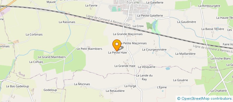 localisation de l'entreprise DAVID MARION  TORCE