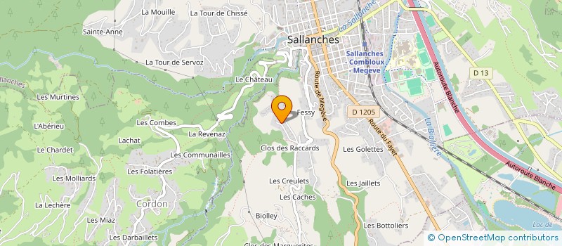 localisation de l'entreprise DAVID PERCE NEIGE à SALLANCHES