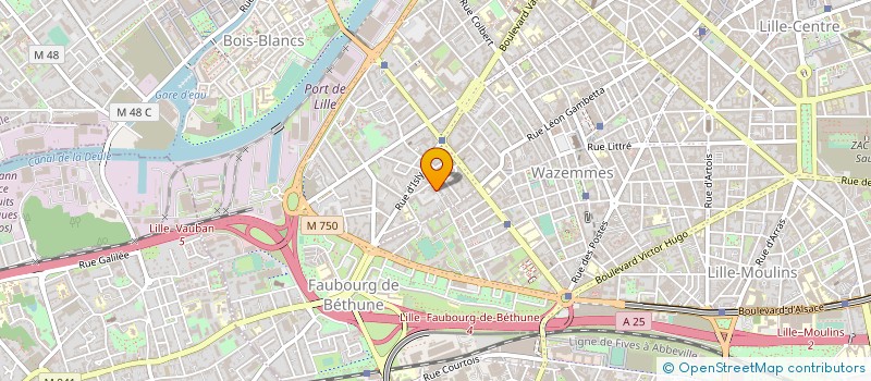 localisation de l'entreprise DAVID SARL à LILLE