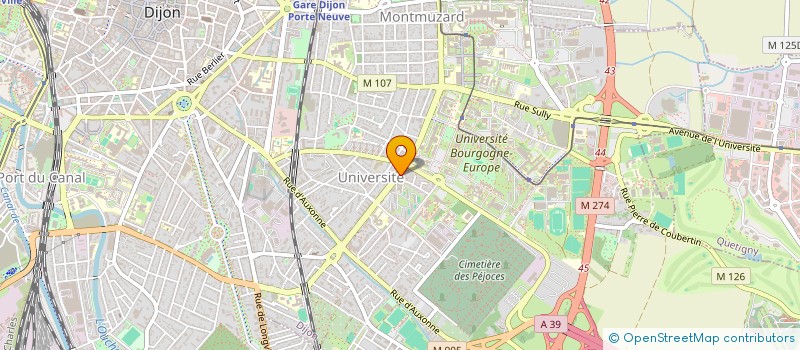 localisation de l'entreprise DAVID TISSIER  DIJON