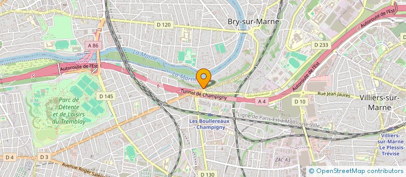 localisation de l'entreprise DAVID TONNARD CONSEIL ET STRATEGIE  BRY-SUR-MARNE