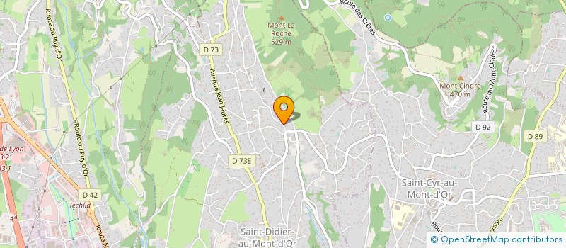 localisation de l'entreprise DAVIE MEUNIER SAS à SAINT-DIDIER-AU-MONT-D'OR