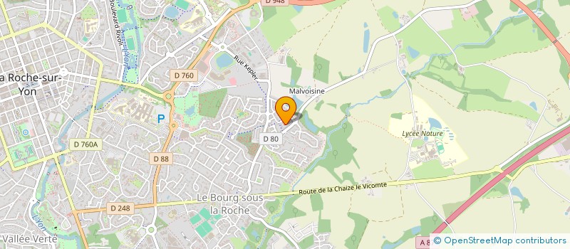 localisation de l'entreprise DAYE à LA ROCHE-SUR-YON