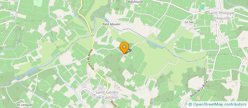 localisation de l'entreprise DAYFLY CORPORATION  SAINT-GENES-DE-CASTILLON