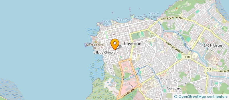 localisation de l'entreprise DAYJRM-IMMO  CAYENNE