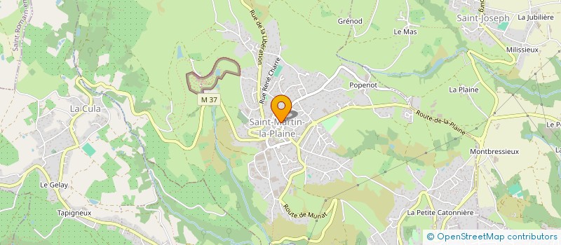 localisation de l'entreprise DBD SERVICES à SAINT-MARTIN-LA-PLAINE