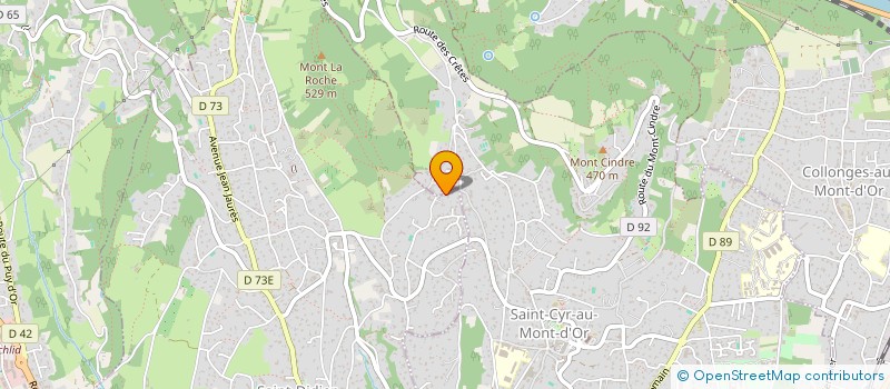 localisation de l'entreprise DBP  SAINT-DIDIER-AU-MONT-D OR