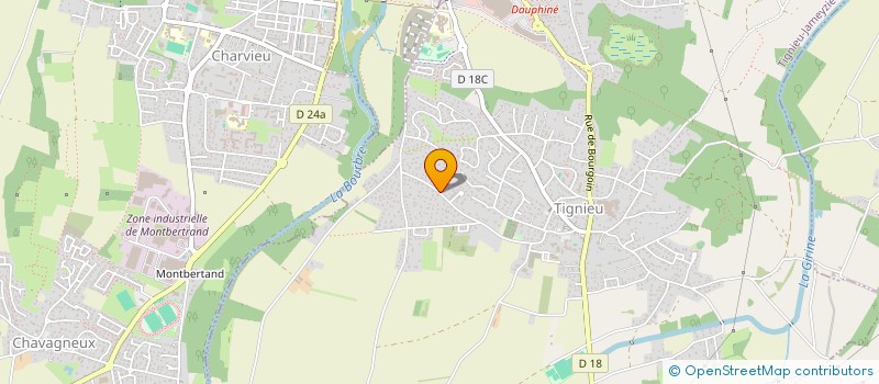 localisation de l'entreprise DCM DELEGATAIRE DE CHARGE MENTALE  TIGNIEU-JAMEYZIEU