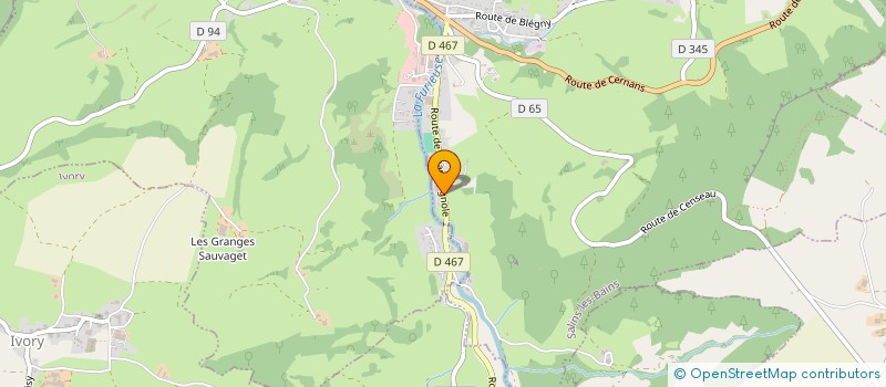 localisation de l'entreprise DE ALMEIDA JOSE  SALINS-LES-BAINS