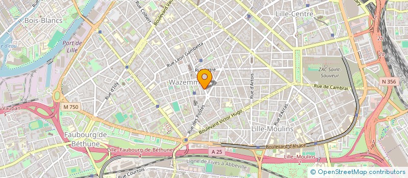 localisation de l'entreprise DE ALZUA à LILLE