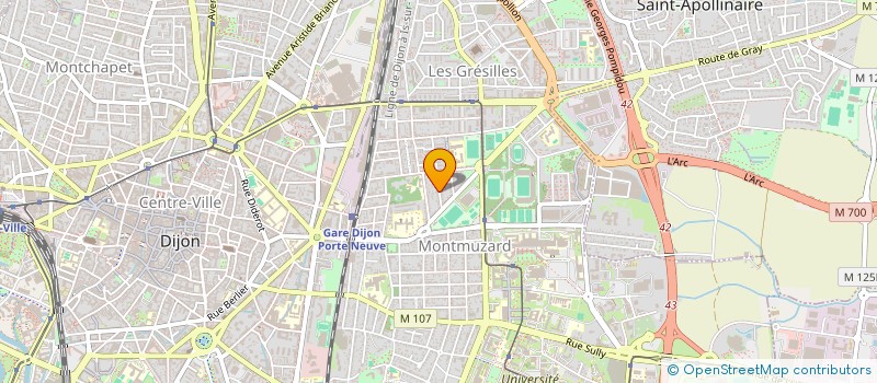 localisation de l'entreprise DE AZEVEDO ERIC ET MYRIAM  DIJON