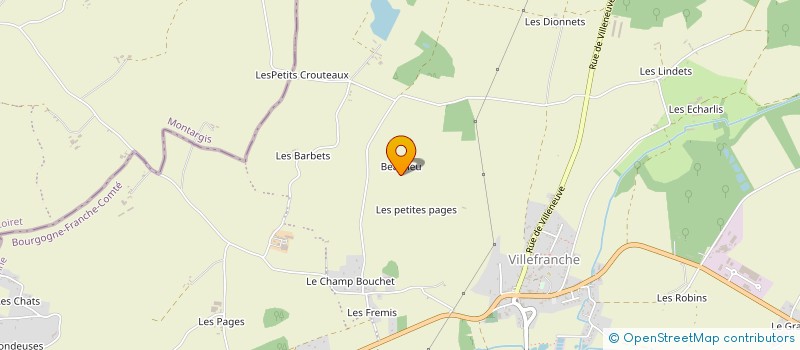 localisation de l'entreprise DE BEAULIEU à CHARNY OREE DE PUISAYE