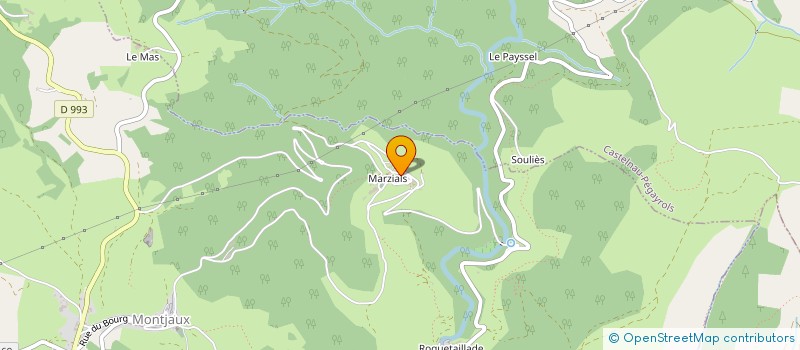 localisation de l'entreprise DE BIANAS  VIALA-DU-TARN