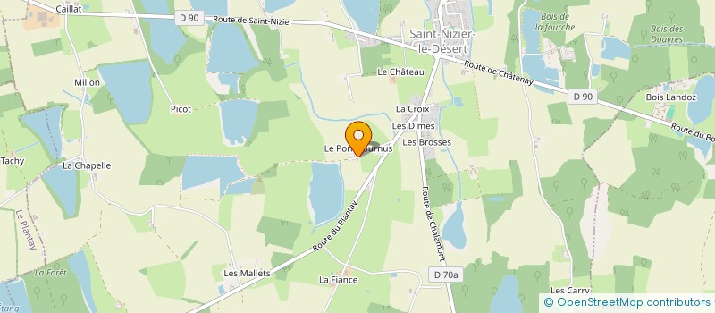 localisation de l'entreprise DE BOLOMIER  SAINT-NIZIER-LE-DESERT