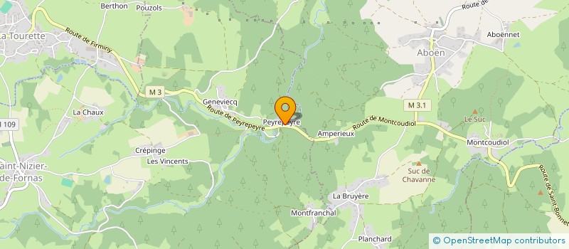 localisation de l'entreprise DE FAY DE LA ROCHE  SAINT-NIZIER-DE-FORNAS