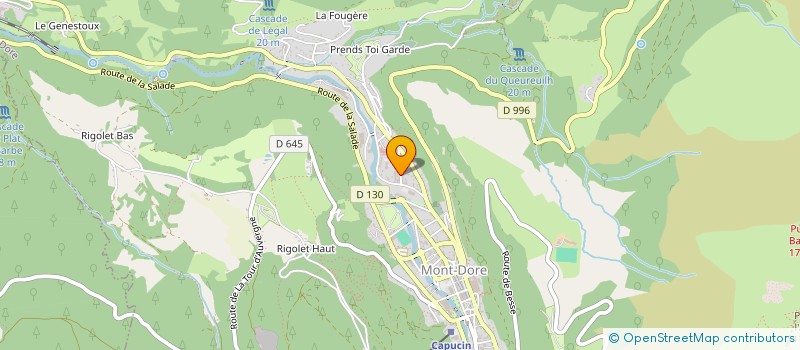 localisation de l'entreprise DE L'AIZE  MONT-DORE