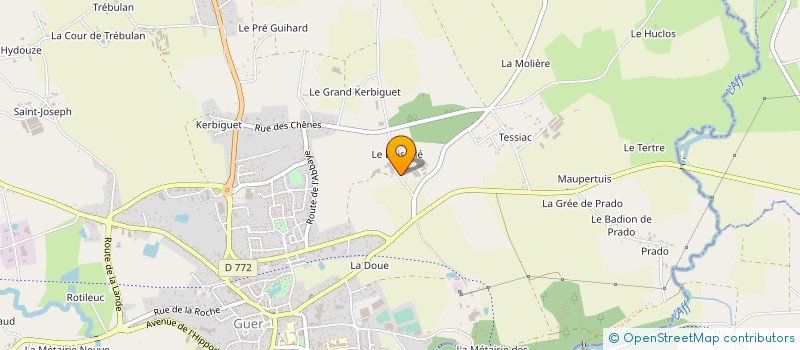 localisation de l'entreprise DE L'ORGELIERE  GUER