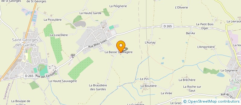 localisation de l'entreprise DE LA BASSE SAUVEGERE à CHEMILLE-EN-ANJOU
