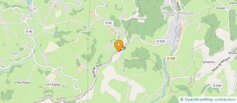 localisation de l'entreprise DE LA CROIX MULSANT  THIZY-LES-BOURGS