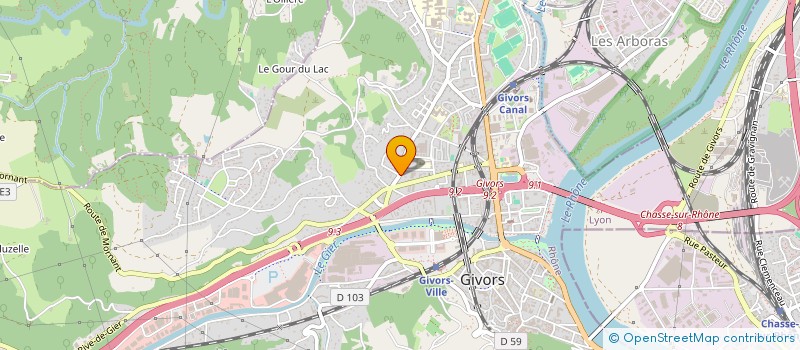 localisation de l'entreprise DE LA PENSEE AU LANGAGE  GIVORS