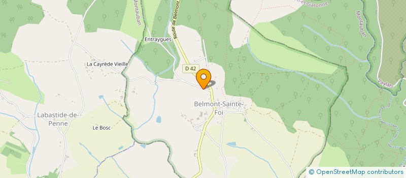 localisation de l'entreprise DE LA PRUNELLE  BELMONT-SAINTE-FOI