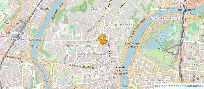 localisation de l'entreprise DE LA RUE A LA SCENE  LYON