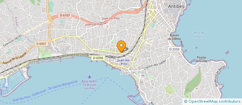 localisation de l'entreprise DE LITZ  ANTIBES