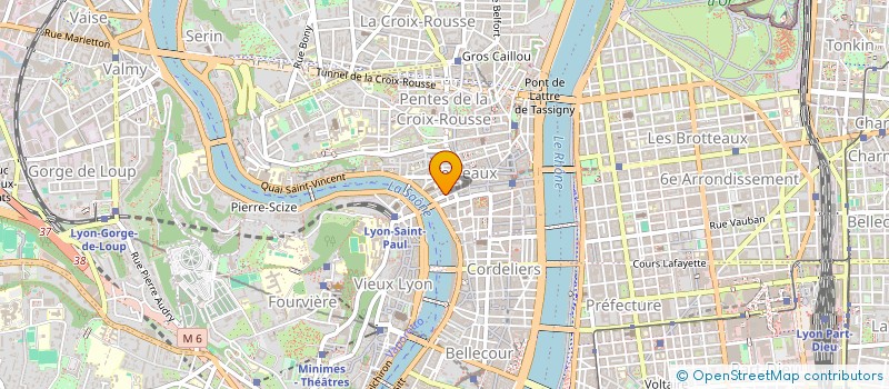 localisation de l'entreprise DE MAIN D'OR à LYON