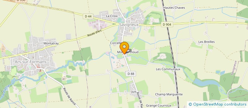 localisation de l'entreprise DE MONTBERTHOUD à SAVIGNEUX