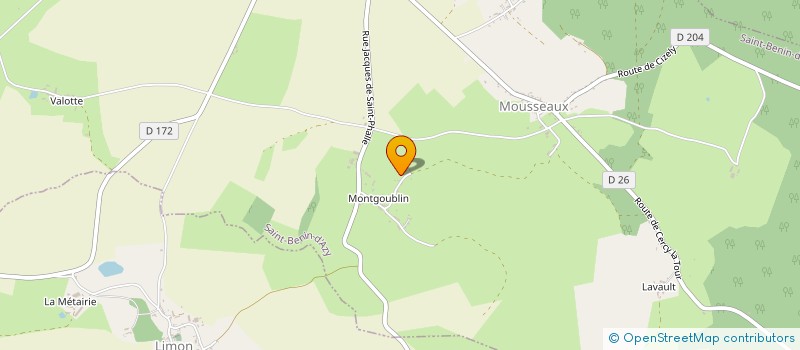localisation de l'entreprise DE MONTGOUBLIN  SAINT-BENIN-D'AZY