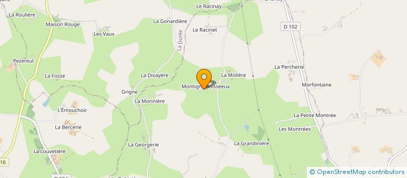 localisation de l'entreprise DE MONTIGNY à SAINT-BERTHEVIN-LA-TANNIERE