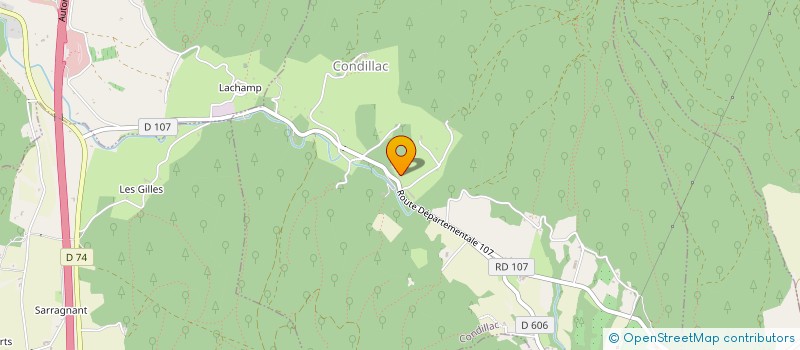 localisation de l'entreprise DE PICARD  CONDILLAC