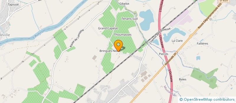 localisation de l'entreprise DE VIRIS MANAGEMENT  MONTAUBAN