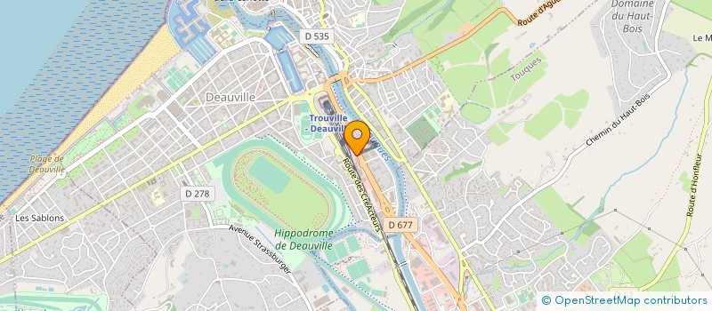 localisation de l'entreprise DEAUVILLE LIMOUSINES SERVICES  TROUVILLE-SUR-MER